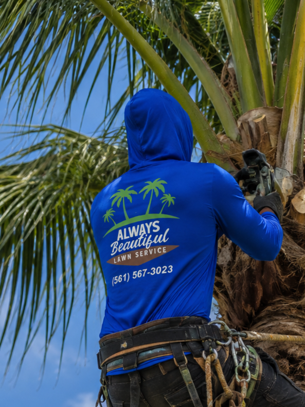 HOODED LONG SLEEVE — style XT106